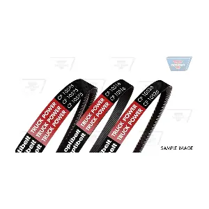 CP10621 OPTIBELT