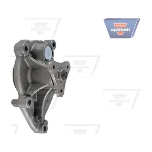 WP1162 OPTIBELT