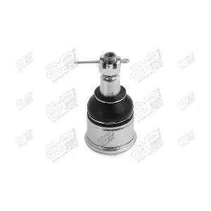 22020AP APlus