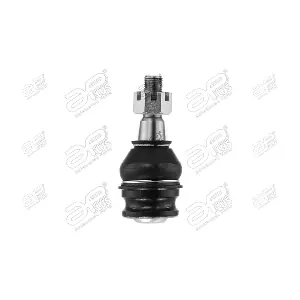 21631AP APlus