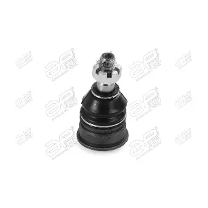 25581AP APlus