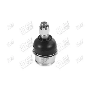 27205AP APlus