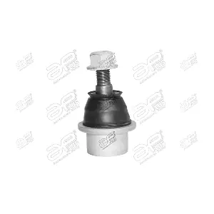 18213 APlus