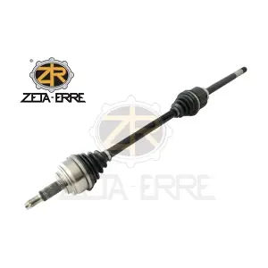 391005573R ZETA-ERRE