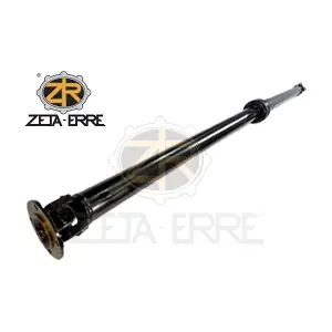 370001DF0D ZETA-ERRE