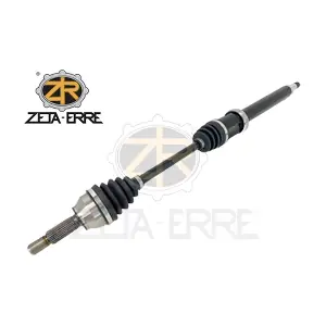 ZETA-ERRE ZR11572