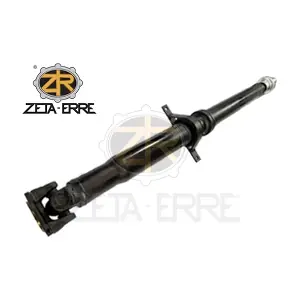 LR071994 ZETA-ERRE