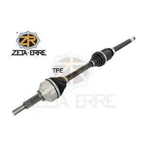 ZETA-ERRE ZR13003