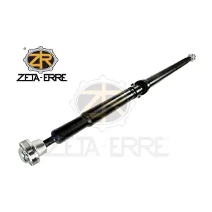LR071965 ZETA-ERRE