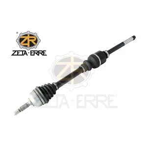 ZR11699 ZETA-ERRE