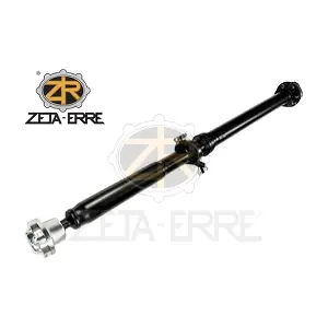TR219 ZETA-ERRE