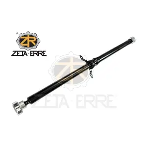 4FD521101B ZETA-ERRE