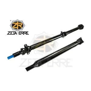1900839 ZETA-ERRE