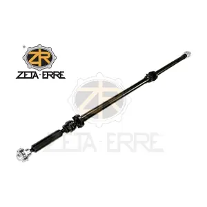 30735305 ZETA-ERRE
