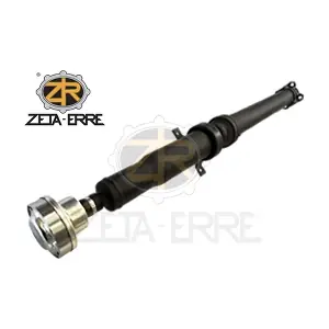 5H324365AB ZETA-ERRE