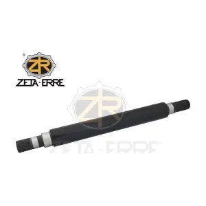374668 ZETA-ERRE