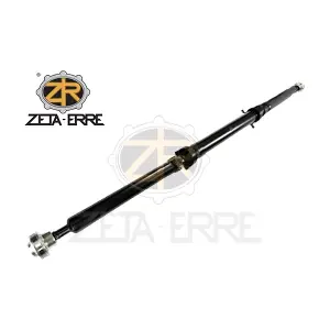 LR071966 ZETA-ERRE