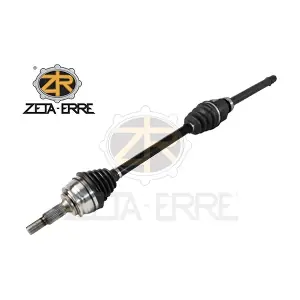 ZR11119 ZETA-ERRE