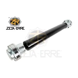 52853641AD ZETA-ERRE
