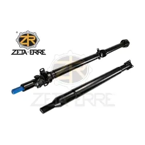 2459508 ZETA-ERRE