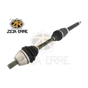 31367149 ZETA-ERRE