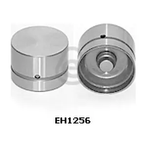 EH1256 EUROCAMS