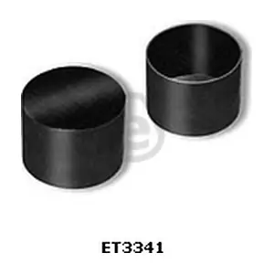 ET3341 EUROCAMS