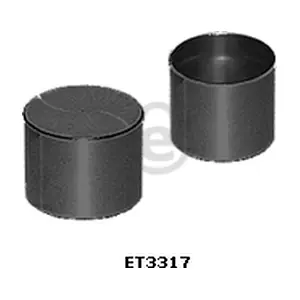 ET3317 EUROCAMS