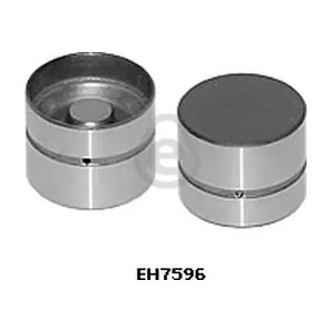 EH7596 EUROCAMS