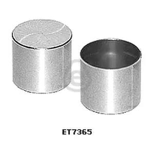 ET7365 EUROCAMS