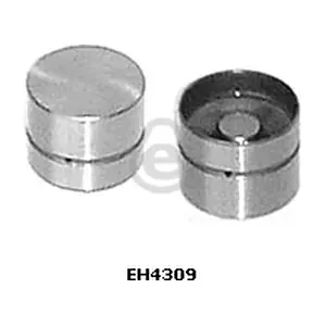 EH4309 EUROCAMS