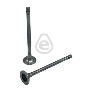 EVO4901 EUROCAMS