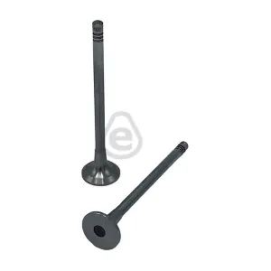 EVI4900 EUROCAMS