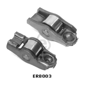 ER8003 EUROCAMS