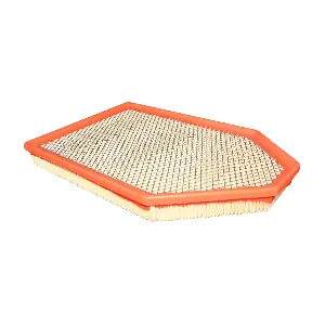 FA-66160 Sakura Filters AU