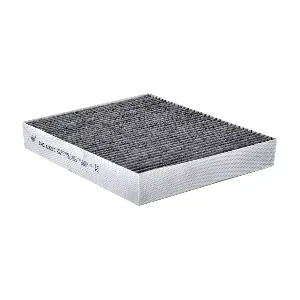 CAC-65210 Sakura Filters AU