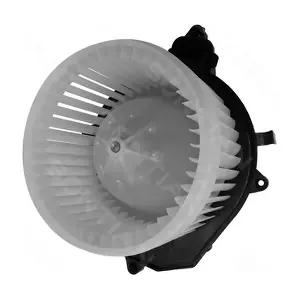 ZD172569A SONTIAN