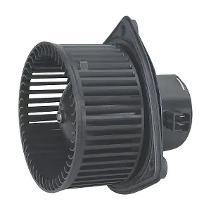 ZD17298 SONTIAN