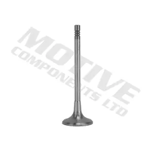 IV10002 MOTIVE