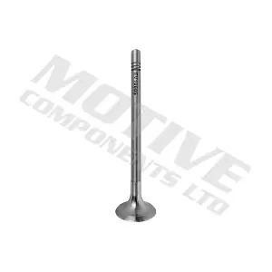EV10005 MOTIVE