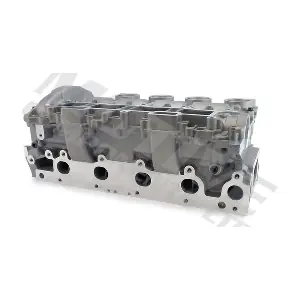 CYP156 MOTIVE