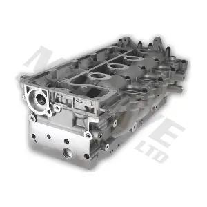 CYP734 MOTIVE