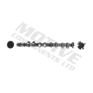 T4017 MOTIVE