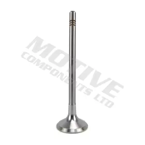 IV10006 MOTIVE