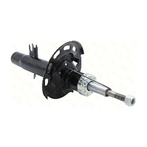 AMT282 GUTTMANN