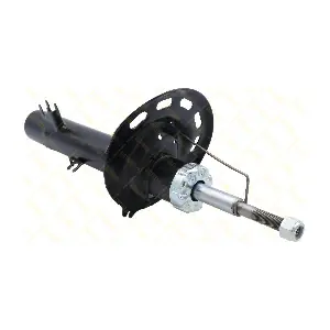 AMT225 GUTTMANN