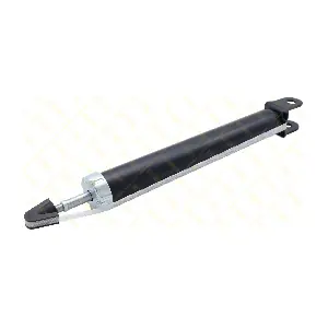 AMT346 GUTTMANN
