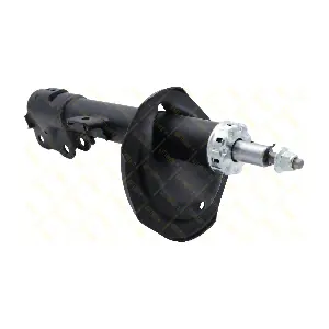 AMT326 GUTTMANN