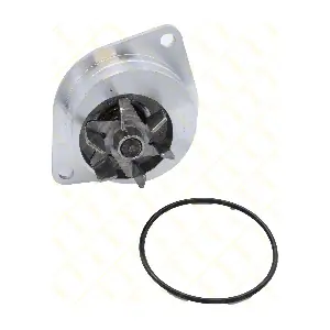 GUTTMANN PE004