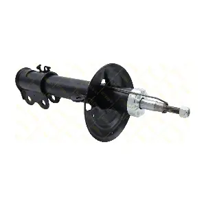 AMT339 GUTTMANN